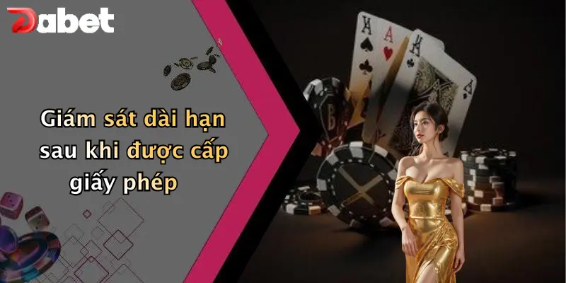 Giấy phép hoạt động 3 Giám sát dài hạn sau khi được cấp giấy phép